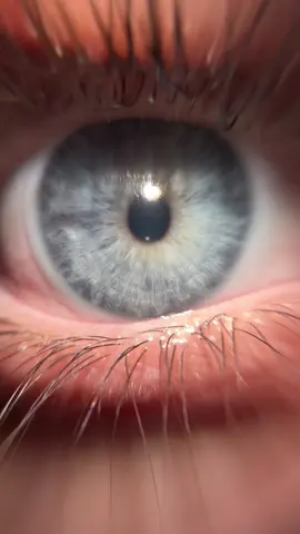 👁️?