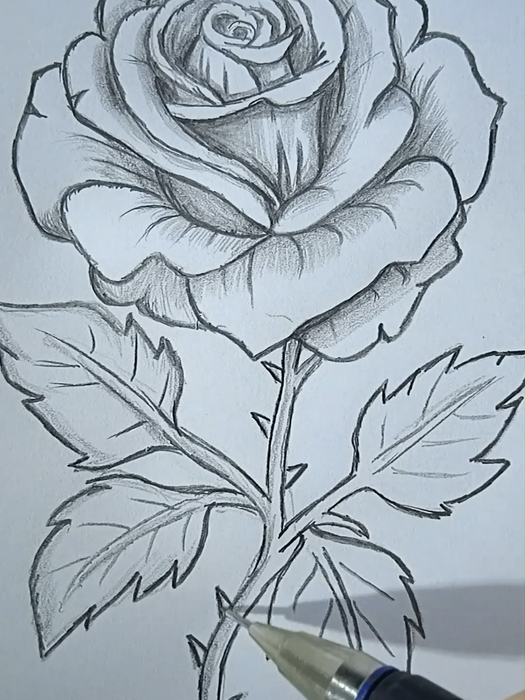 Drawing a rose #sketchrose #imagerose #drawingtutorial #sketchart #tutorialpainting