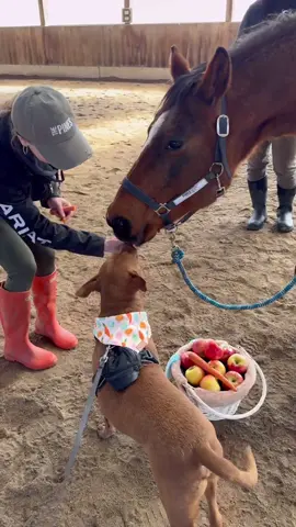 My carrot brother needs his carrots 