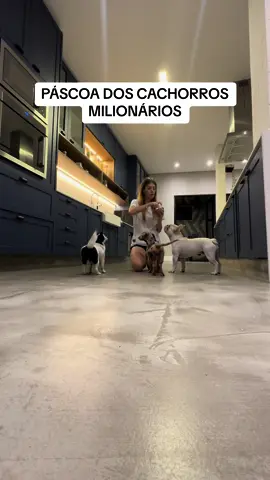 Meus amores 