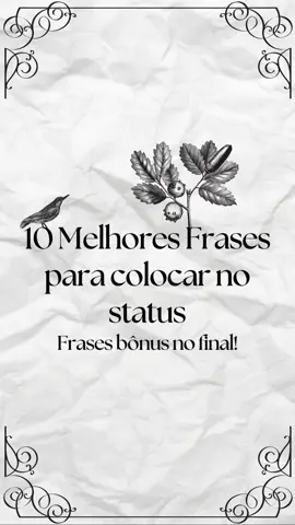 10 Melhores frases para status #alok #story #storywhatsapp #status #frases #tiktok
