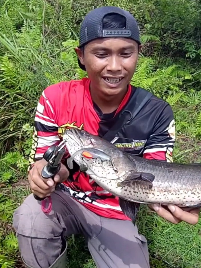 Mancing Gabus Babon (Yt. KHAR SANI) #mancinggabus  #mancingikangabus  #mancinggabusbabon  #castinggabus  #ikangabus  #ikangabusbabon  #mancingcastingikangabus  #mancingikan