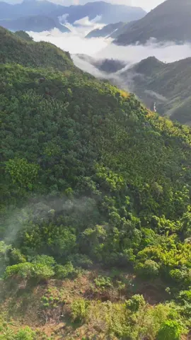 Wala pa rin kupas, ang ganda mo Sierra Madre 📍 Treasure Mountain, Tanay, Rizal #CapCut #ridetherapy #ridetherapy_ #djiphilippines  #ridersoftiktok #ridersrepublictiktok #foryou #foryoupage #fyp #dji  #hondaadv150 #mototiktok #capcuttemplate  #nature #naturevibe #naturetrip #djimini4pro 