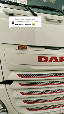 Ответ пользователю @user9516559493342 #vitamino #daf #дальнобой 