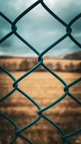 En sevdiğiniz Hirai Zerdüş şarkısı hangisi? #hiraizerdüş #müzik #lyrics #fotoğraçılık #keşfet #capcut #video 