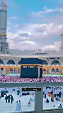 ✨️🤲✨️ #foryoupage #fypシ #viral #grow #trending #tiktok #islamic_video #muslimtiktok #CapCut #islamicstatus 
