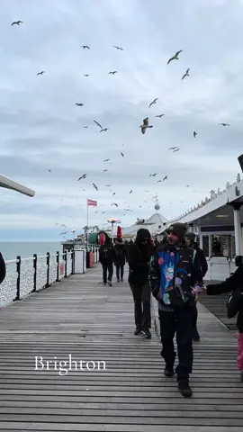 Brighton 🇬🇧#brightonbeach #brighton#PlacesToVisit #PlaceToVisit #fy#viral#londontiktok #lindonlife#❤️ #🇬🇧#amazing#lovegreatbritain #travel#traveluk #palacepierbrighton  