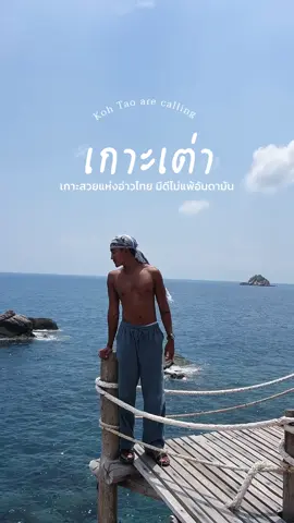 หน้าร้อนนี้ใครยังไม่มีที่ไป บอกเลยว่าไปเกาะเต่าเถอะมันดีต่อใจ ไม่ต้องเวิ่นเว้อ ไปมา 2 อาทิตย์บอกเลยว่าคนเกาะเต่าน่ารักเป็นบ้า ใครบอกเกาะเต่าน่ากลัว ไปอยู่มา 2 อาทิตย์บอกเลยว่าที่นี่คือสวรรค์ของคนรักทะเล อยากไปอยู่เกาะเต่าเลย 🌴🫶🏽 #สงกรานต์ไปไหน #เที่ยวไทย #เที่ยวทะเล #เกาะเต่า #ฟูลมูนปาร์ตี้ #เที่ยวภาคใต้ #ติดเกาะ #ผู้ชายสายเที่ยว #ทะเลไทย 