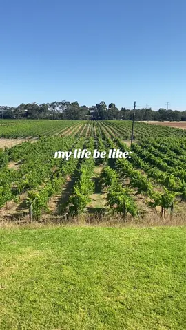 love what you do, and you won’t work a day in your life.  juuuuuuuuuust kidding no word of a lie, i haven’t worked this hard - ever!  and i used to be in a full-time corporate gig, on call after hours.  the main difference now, however, is that i’m doing it for me, for my family and for my AMAZING clients.  #weddingflorist #perthweddingflorist #perthflorist #adayinthelife #floristperth #weddingvendor 