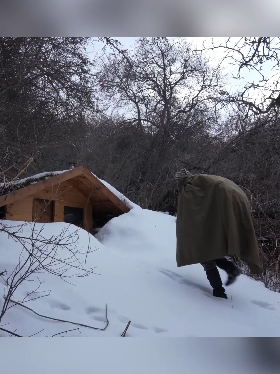 Last winter night in the mountain shelter #bushcraft  #build  #camp  #camping  #survival  #shelter  #wildlife  #Outdoors  #outdoor  #viral  #fyp  #foryou