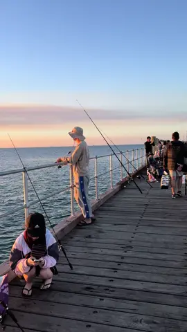 First time fishing in melbourne 😱 🥴 Wasn’t expect lots of people here but beautiful sunset view😍😍 📍rye bay  #fishingtiktoks #fishingmelbourne #rye #squid #ตกปลาหมึก #funactivity #thingstodoinmelbourne #sunsetbeach 