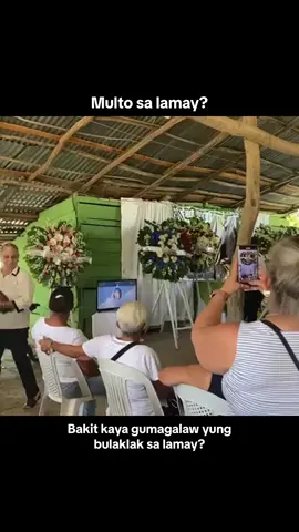 Ghost moving flowers video. Multo ba talaga ang dahilan bakit gumagalaw yung bulaklak sa lamay? #scary  #creepy #fyp #spirit #thirdeye 