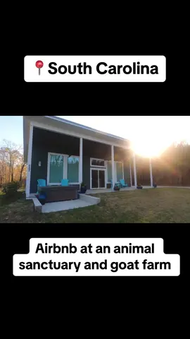 Book your stay today! #fyp #southcarolina #babygoat #longervideos #airbnb 