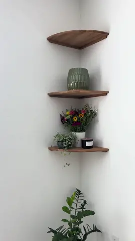 Amazon corner Shelves #plantok 