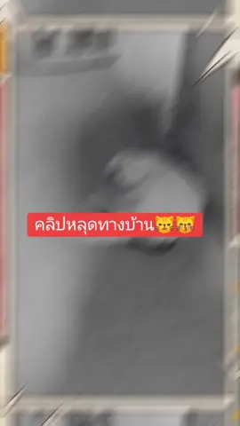 #CapCut #คลิปแอบถ่าย หนูไม่ค่อยชอบเล๊ยวุ้