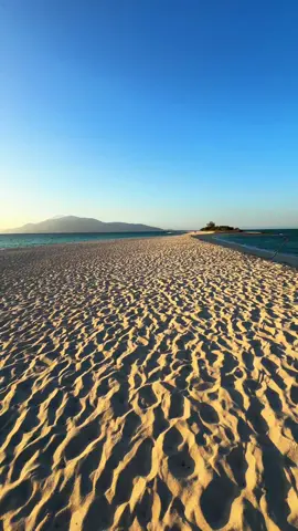Beach vibes only: Cresta de Gallo's picture-perfect paradise. 🏝️🌊  📌 Cresta De Gallo Islet - Sibuyan , Romblon #romblon #romblon🇵🇭  #wheninromnlon #sunset #sandbar #crestadegallo #crestadegalloisland #nature #traveltiktok #whitesand #beach #beachvibes #fyp #fypシ #fyppppppppppppppppppppppp 
