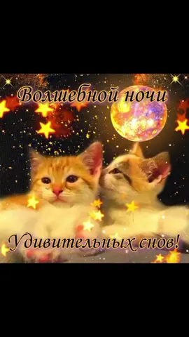 #сладкихснов #котикинакаждыйдень #котики #котя #on #fyp #котикикоторыелюбят #котикисмешные 