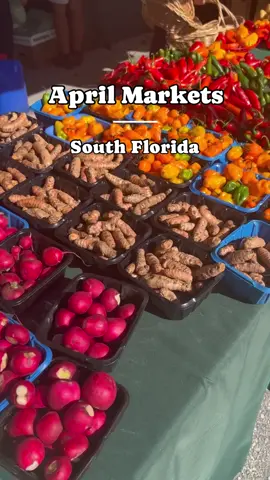 Check out these markets near you for some incredible finds‼️ 1️⃣Zoo Miami Farmers Market Date: First weekend of every month Time: 10 AM to 5 PM Address: 12400 SW 152 St, Miami, FL 33186 2️⃣ Tamiami Park Farmers Market  Date: April 27, 2024  Time: 8:30am to 2pm Address: 11201 SW 24th St, Miami, FL 33165 3️⃣ Miami Shores Sunday Market Date: Every Sunday Time: 10 AM to 3 PM Address: 9301 NE 2nd Ave, Miami Shores, FL 33138 4️⃣ Southwest Ranches Farmers Market  Date: Every Saturday  Time: 10am to 3pm Address: 16290 Griffin Rd in Southwest Ranches   5️⃣ Vizcaya Farmers Market  Date: Every Sunday  Time: 9am to 2pm Address: 3250 South Miami Ave  6️⃣ The Market at Vivo Dolphin Mall Date: 2nd and 4th Saturday Time: Noon to 6 PM Address: 11401 NW 12th St, Miami, FL 33172 7️⃣ Vintage Thrift Outlet Market Date: Third Saturday of the month Time: 11 AM to 7 PM Address: 2540 W 84th St. Unit 3, Hialeah, FL 33016  8️⃣ River Market Farmers Market in Fort Lauderdale Date: Every 1st and 3rd Wednesday Time: 4PM to 9PM Address: 1900 N Federal Hwy, Fort Lauderdale, FL 33305 #miamifriendors #farmersmarkets #markets #shopsmall #shoplocal #supportsmallbusiness #supportlocal #SmallBusiness #supportfarmers 