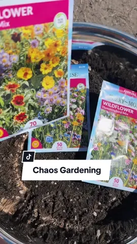 Chaos gardening! #wildflower #wildflowers #gardening #chaosgardening #fyp