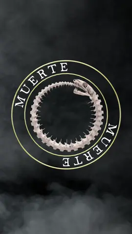 Muerte  Part one of the canserbero recreations  #canserbero #canserberoporsiempre #canserberomusic #canserberovive #3d #conceptart #d #render #pixelart #blender #cg #3dmodeling #concept #visual #3dprinting #rendering #blender3d 