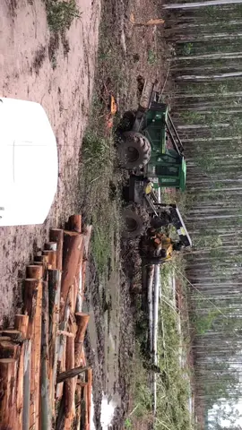 #skidder #jhondeere #toyota 