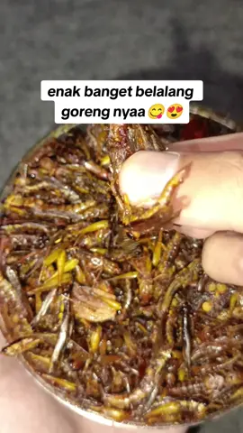 kalian wajib cobain deh pasti ketagihan 😋😍#belalanggoreng #walanggoreng #gorengbelalang #JelajahRamadan #fypシ 