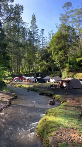 Tempat paling nyaman dan tenang yaitu camping pinggir sungai dengan view hamparan kebun teh✨🏕️🍃 #ciwidey #explorejawabarat #wisatabandung #campinggroundnyampay 