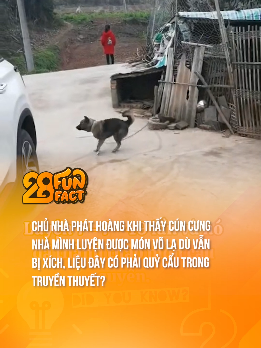 NÓ THÀNH QUỶ RỒI AE Ạ #theanh28 #theanh28funfact #theanh28news #tiktoknews #animals