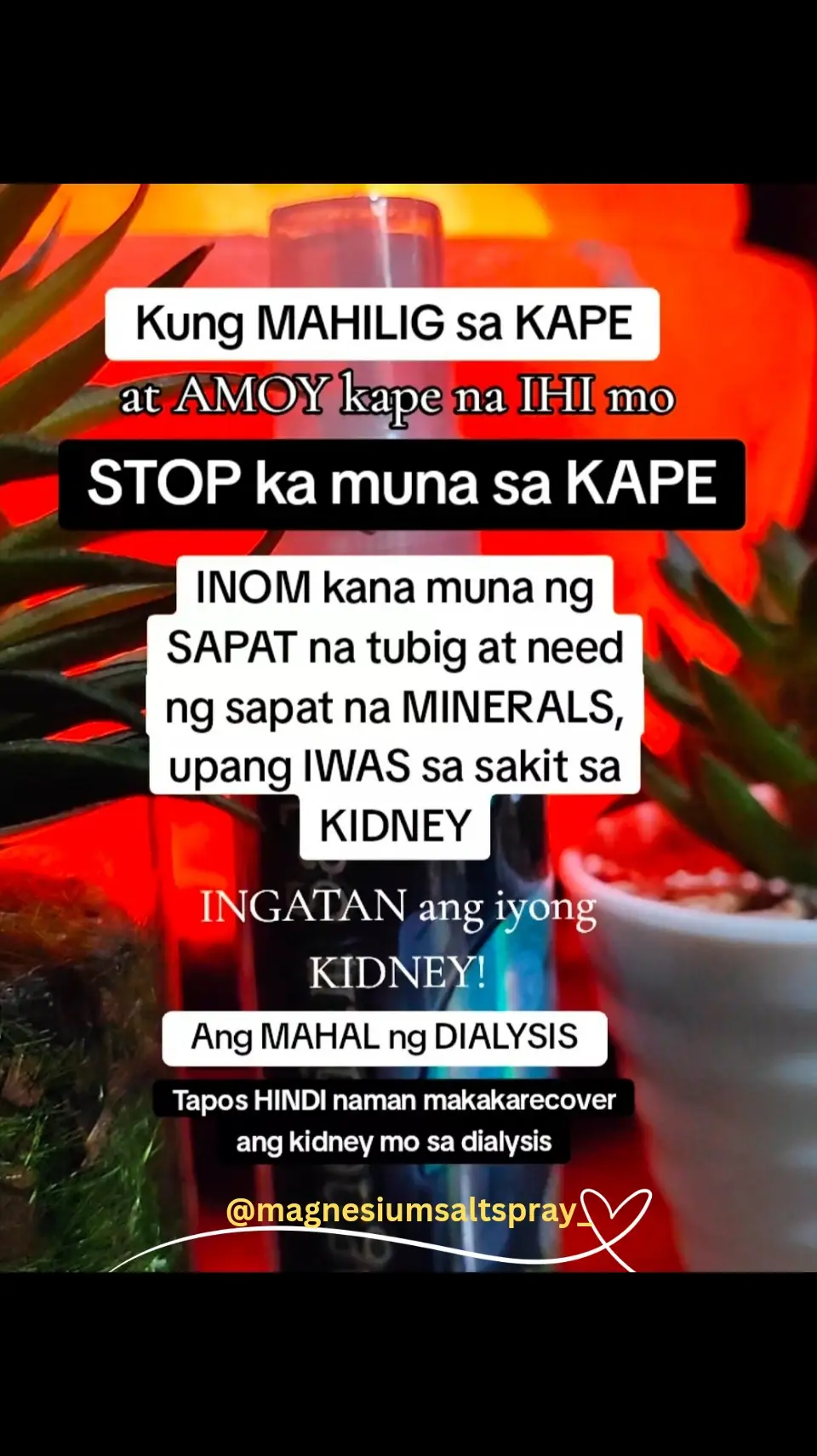 Ano nga ba ang MSS o MAGNESIUM SALT SPRAY? Ito ay pinagsama-samang nga MINERALS,pangunahin ang MAGNESIUM, na inilagay sa isang bote at ipinapahid lang sa BALAT o sa apektadong bahagi,NAPAKALAKI ng kinalaman ng pagkakaroon ng ibat-ibang karamdaman kapag NAWAWALAN ng SAPAT na MINERALS o kaya hindi ito balanse, kaya kapag nabigyan mo ng sapat na minerals ang katawan mo kusang magsisiwalaanbang mga nararamdaman dahil naa-ACTIVATE nito ang NATURAL HEALING MECHANISM,lalo Kong masasabayan ng iba pang mga bitamina lalo ng mayaman sa Bvitamins o Bcomplex,at SAPAT na inom ng tubig,tulog at ehersisyo at makapag paaraw, alisin ang galit sa puso, piliin laging sumaya. Ang kahit anong karamdaman ay maaring GUMALING kapag naibigay mo ang kakailanganin ng iyong katawan. #MSS  #allinone #miraclespray #NATURALnaPANLUNAS #MAGNESIUMsaltSPRAY #naturalnapanlunasadvocate #pisikpisiktanggalangmgasakit #TRANSDERMALmineralSUPPLEMENT #foryou#health#magandangprodukto 