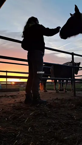 Come with me🤎🐮🐴🌄👩‍🌾 #comewithme #illshowyoumyworld #dreamjob #nevereverwithout #cows #horses #landwirtschaft #CapCut 