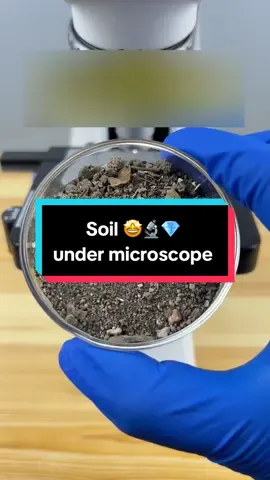 Soil under microscope #microscope #undermicroscope #microscopicworld #fyp 