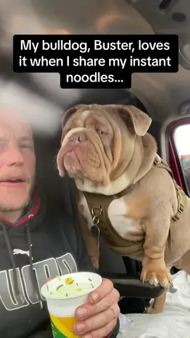 Buster just like me fr 🍜 #Pubity  (Jon Phillips via @ViralHog)