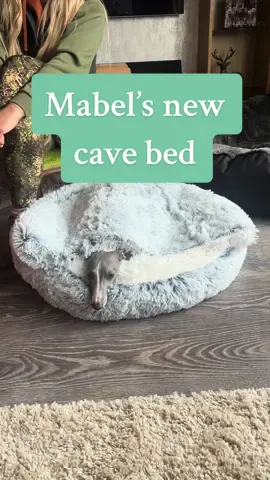 It’s been 2 hours and she hasnt got out of the bed yet 😂 I’ve tagged the exact bed I bought ❤️  #dogbed #dogowner #spoiltdog #cavebed #haul 