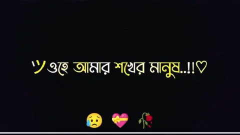 #CapCut ওরে আমার শখের মানুষ আমার জন্য একদিন পরান পরবো😥💝🥀#tik_tok #Bangladesh #meher_chowdhury #banglar_sayeer #tik_tok_🍁 