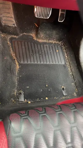 Ever seen a tool like this? #detailing #satisfying #carcleaning #essexdetailer #detaileressex #carcleaning #detailers #detailingworld #cardetailing 