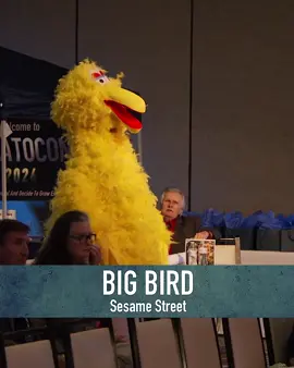 I don’t like this bird.  Watch or rewatch the 11th Annual On Cinema Oscar Special now exclusively on the HEI Network 🍿 #oncinema #heinetwork #greggturkington #timheidecker #oscarspecial #oncinemaatthecinema #bigbird #amato 