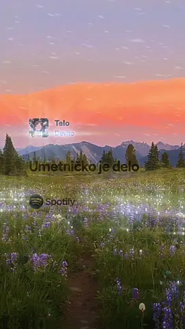 Telo- Devito 👤  #telo #field #flowers #devito #spring #lavender #spotiy_lyrics 