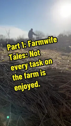 Part 1: Farmwife Tales of Ellis Farms: Not every task on the farm is enjoyed.#farm#cattle#ranch#farmfamily @wes.ellis86 @Wyatt_ellis07 #CapCut 