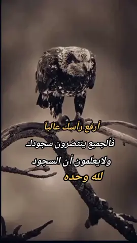 #عبارات #كلمات #قويه 