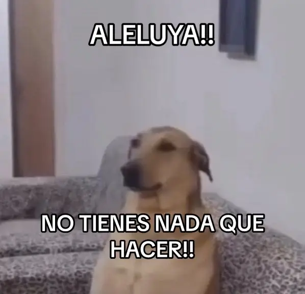 SJJSJSJSJ #jovenescristianos #parati #adolescentescristianos #tiktokdestacame #pinchetiktokponmeenparati #xyzbca #foryoupage #fypシ #viralvideo #tiktok #jesusteama #diosteama #hagamosviralajesus #foryou #jesus #greenscreen #viral #cristoviene #biblia #humor #humorcristiano #humortiktok #parati #xyzbca #fypシ #arrepentimiento @TikTok @TikTok en español 