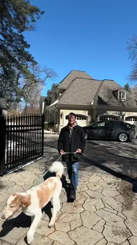 Welcome to my humble abode… #hometour #torontohomes 