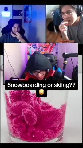 Which one do you prefer 🥺 #podcast #entertainment #debate #GamingOnTikTok #snowboarding #skii #funny #familytime #brother #fyp #foryou #foryoupage 