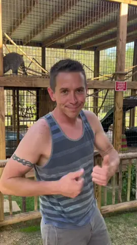 Good job @Jonas Verwers ! #farmlife #coati #coatimundi 