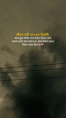 জীবন সঙ্গী হতে হবে বিশ্বাসী, যাকে মুক্ত পাখির মতো উড়তে দিলেও অন্য কোনো ডালে বাসা বাধবে না, যাকে বিশ্বাস করলে বিশ্বাস ভেঙে দিবে না!❤️‍🩹#foryou #foryoupage #plzunfrezemyaccount #abrar_arafat @TikTok Bangladesh 