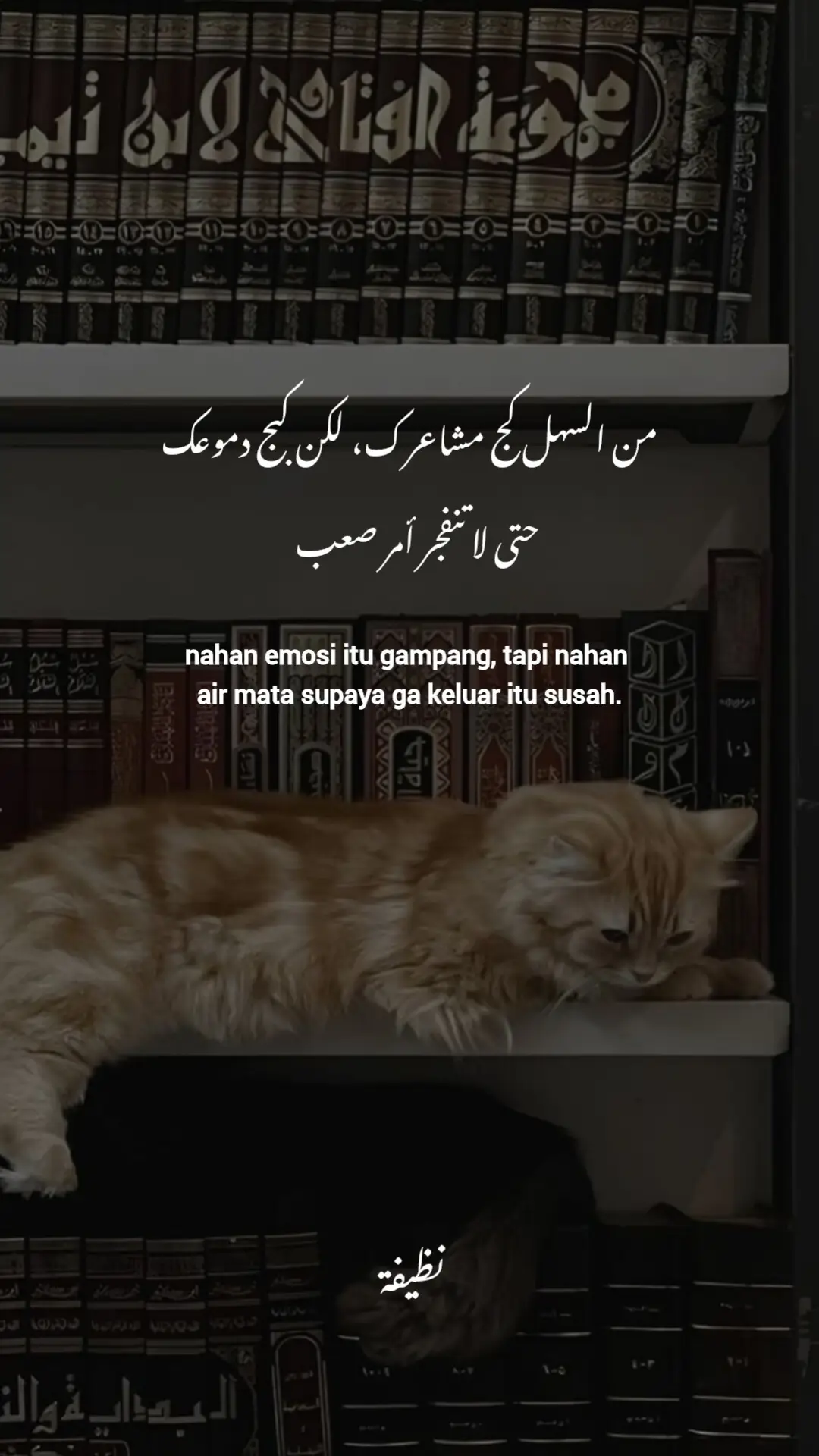 🥀 . . . #syairarab #syaircinta #islamic #islamic_video #qoutes #arabic #arabicsong #hijrahyuk #editor #videoislami #katakata #selfreminder #pengingatdiri #istikomah #hijrahyuk #akhirzaman #masukberanda #fyppppppppppppppppppppppp #fyp 