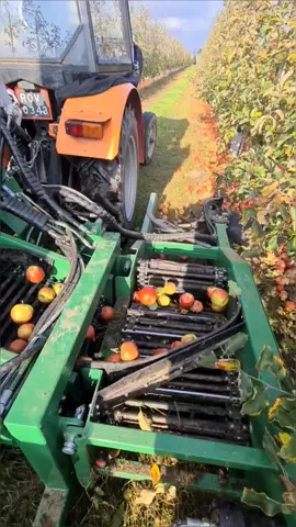 EASY-PICKER Apple 🍎 Picking Machine || Made By Pro-Cnc Poland || @PRO_CNC  #shorts 