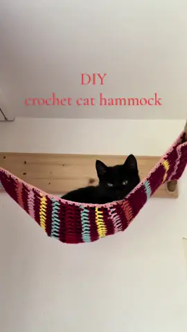 Diy crochet cat hammock 🐈‍⬛😻 What do you think? 😍 #cat#catsoftiktok#DIY#crochet#crochetinsperation#diy#diyforcats#crochetcat#crochetforcats#cattoy#cattoysdiy#cattree#foryou#viral#crochetforbeginners#tutorial 