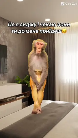 #кохання❤️🖇️ #сумуюзатобою🥺 #рекомендаціїукраїна🇺🇦 