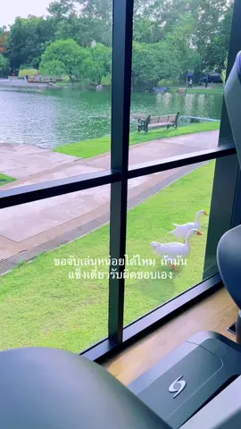 เดี๋ยวรับผิดชอบเอง#เธรด #ฟีดดดシ #fypシ゚viral #เธรดคลั่งรัก #สตอรี่ความรู้สึก #fyp #เธรด18 #ยืมลงสตอรี่ได้ #pov 