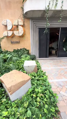 23 Hotel in Medellin, Colombia 🇨🇴 